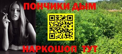 прущие крисы Гай