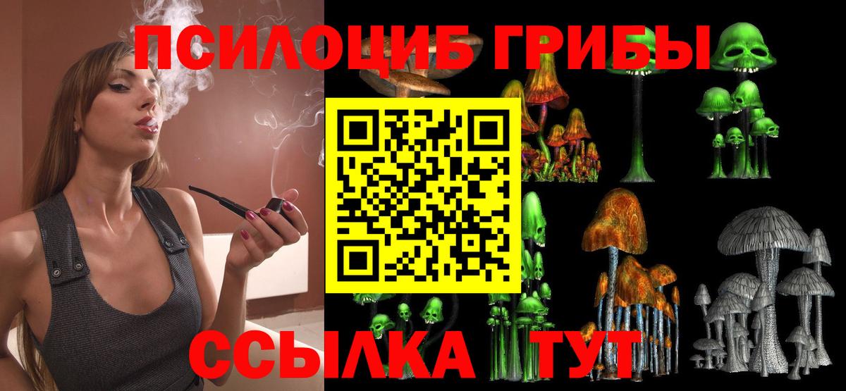 Галлюциногенные грибы Psilocybe Грязи